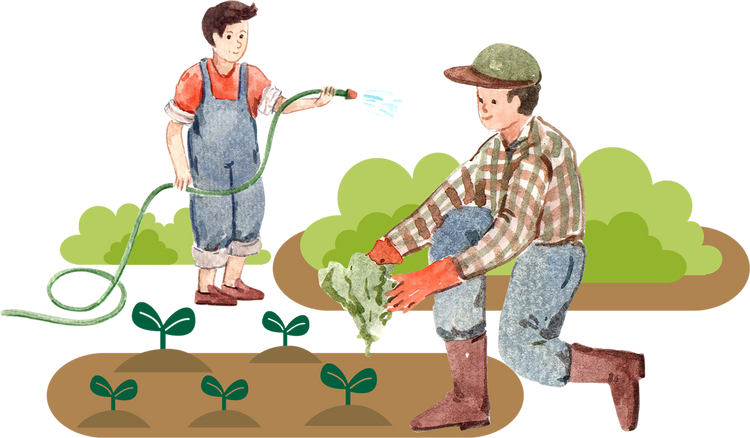 Farmers Taking Care of Plants
